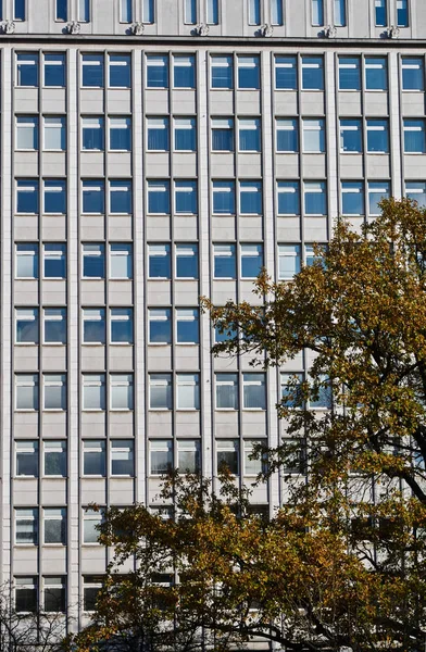 Bir ağacın modernist bina cephe karşı — Stok fotoğraf