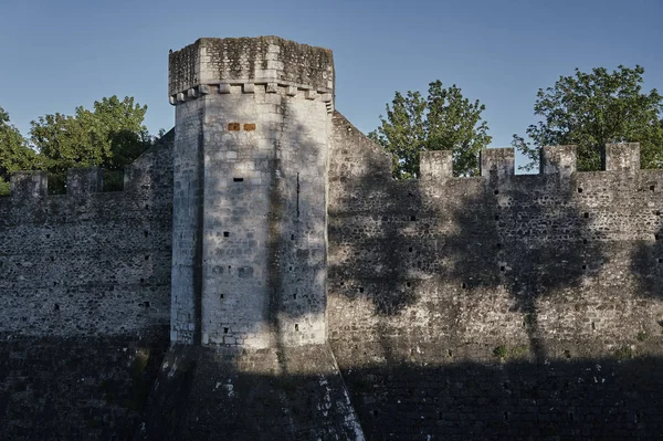 Ortaçağ kule ve surlar — Stok fotoğraf