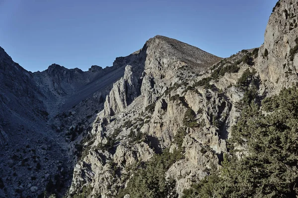 Rocky beyaz dağlarda dikili — Stok fotoğraf
