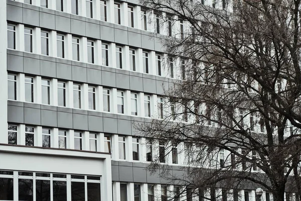 Ramos de árvores e fachada de um edifício residencial — Fotografia de Stock