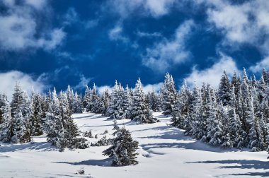 Güneşli bir günde kış manzarası