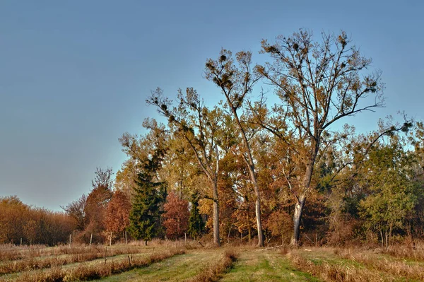 Krajobraz wiejski jesienią — Zdjęcie stockowe