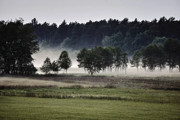 Vesnice krajina s pruhy mlhy — Stock fotografie
