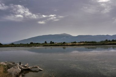 Denize Nehri'nin ağzında