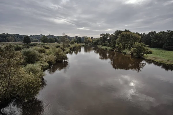 Drzew i krzewów, nad brzegiem rzeki — Zdjęcie stockowe