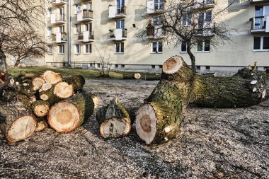 kesme odun yığını