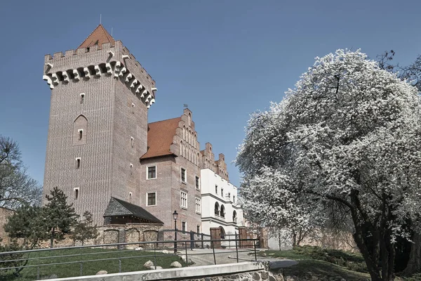 Весной башня реконструировала королевский замок — стоковое фото