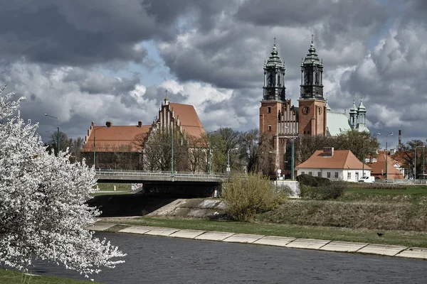 Urbana landskap med floden Warta och domkyrkans torn — Stockfoto