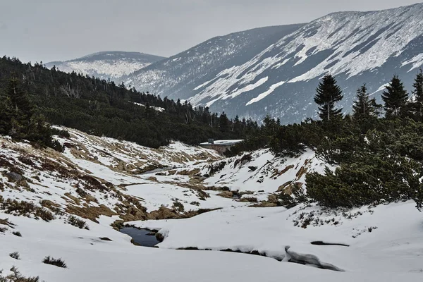 Fjällbäck våren — Stockfoto