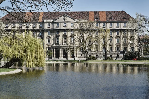 Saule sur un étang et une maison — Photo