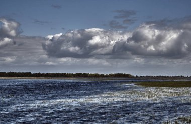 Nehir Warta ağzında önemsizden