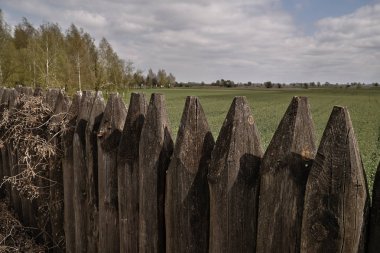 Eski sararmaya bir parçası ile kırsal manzara