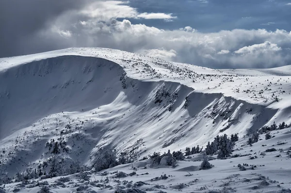 Paisagem de inverno em um dia nublado i — Fotografia de Stock