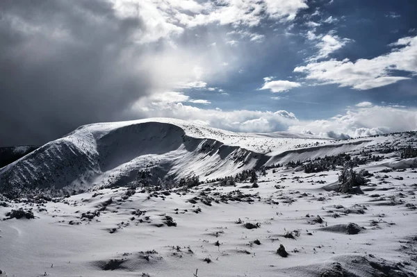曇りの日に冬の風景 — ストック写真
