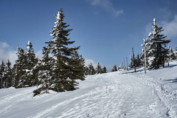 Enterrado en la nieve sendero — Foto de Stock