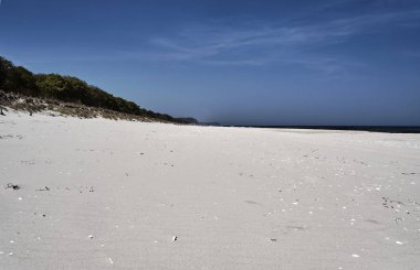 Baltık kıyısında kumlu plaj