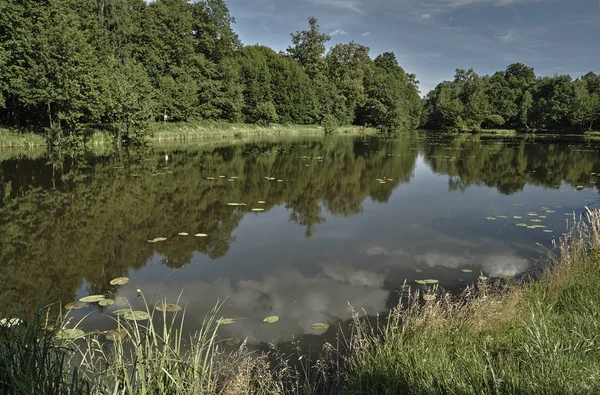 Eflection chmur nad jeziorem, w lesie — Zdjęcie stockowe