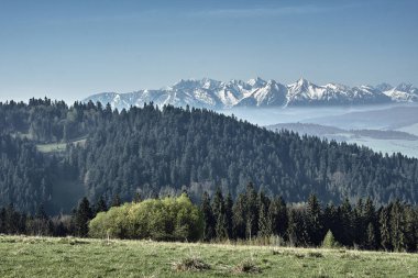 Bahar, Karpat Dağları