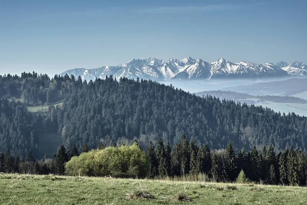 Bahar, Karpat Dağları