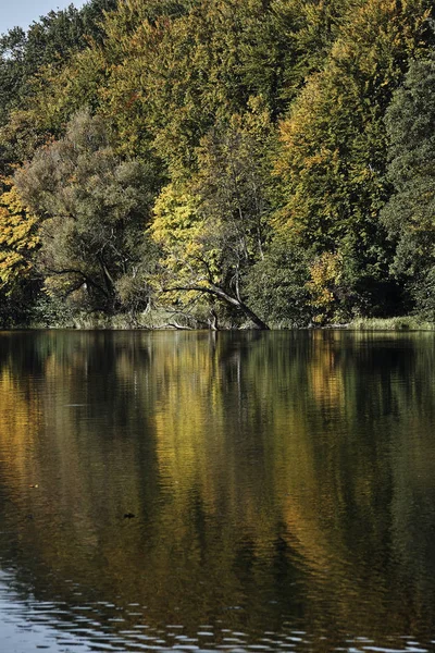 Jesienny las nad jeziorem — Zdjęcie stockowe