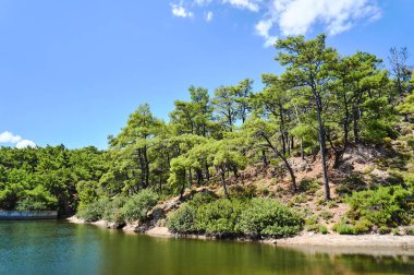 Rodos Adası Gölü ve çam ormanı