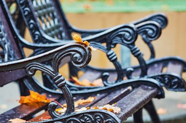 Bir parkta bankta sonbahar yaprakları