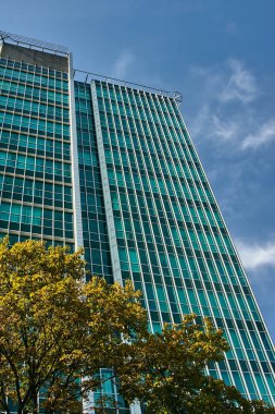 Yaprak döken ağaç ve modern bir bina cephe 