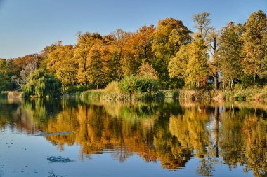 Parkta gölet üzerinde renkli ağaçlar