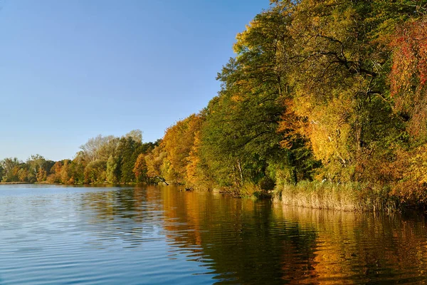 Kolorowe Drzewa Nad Jeziorem Jesienią Poznaniu — Zdjęcie stockowe