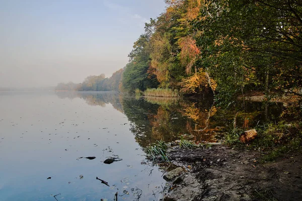 Kolorowe Liście Drzew Mgły Nad Jeziorem Jesienią — Zdjęcie stockowe