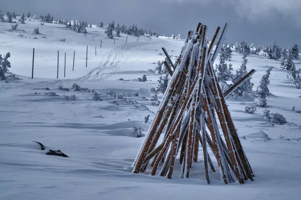 波兰大山冬季远足径的木木桩 — 图库照片