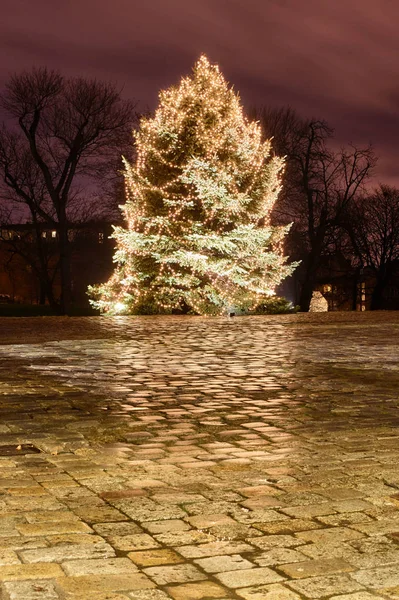 Árbol Navidad Parque Ciudad Por Noche Poznan — Foto de Stock