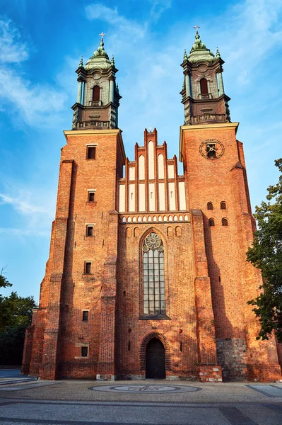 Tornen Den Gotiska Katedralen Poznan — Stockfoto