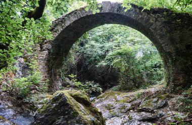 Yoğun bir orman Yunanistan'da Bizans Bridge'de taş kalıntıları