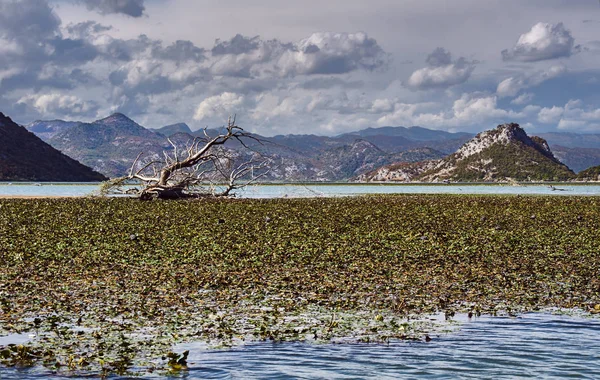 Vue Sur Les Montagnes Lac Skadar Monténégro — Photo