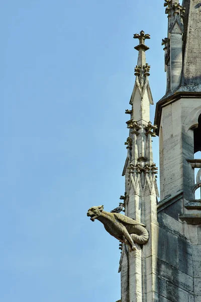 Гаргулья Башня Готический Фасад Церкви Труа Франция — стоковое фото