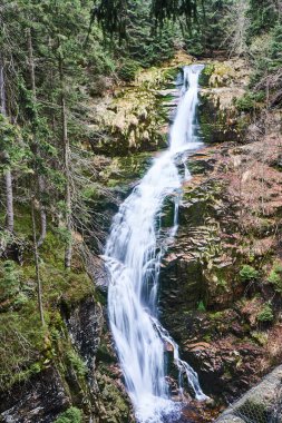 Giant Mountains Polonya'da bir şelale ile bir dağ dere