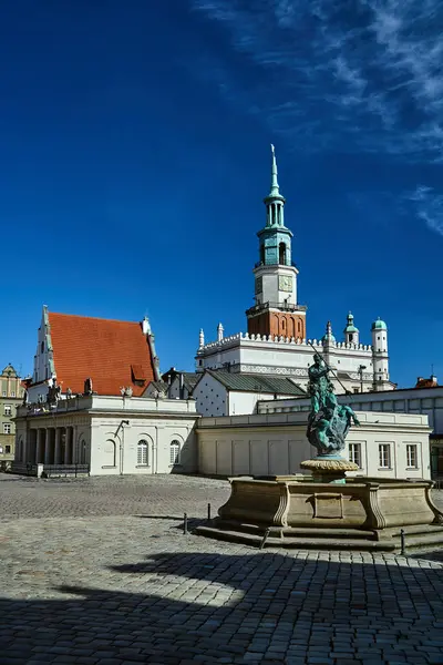 Brunnen Mit Skulptur Mietshäuser Und Rathaussturm Auf Dem Alten Marktplatz — Stockfoto