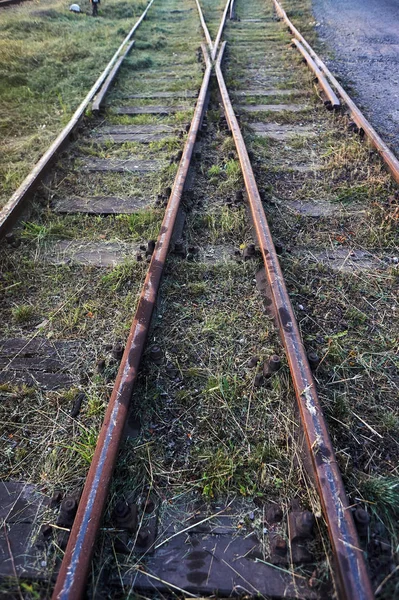 Korsningen Förstörda Järnvägsspår Polen — Stockfoto