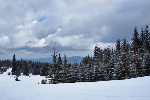 Winterlandschaft Einem Bewölkten Tag Den Riesigen Bergen Polen — Stockfoto