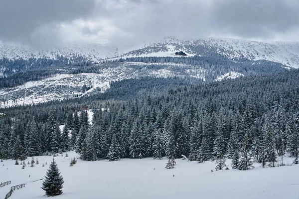 Téli Táj Egy Felhős Napon Giant Mountains Lengyelország — Stock Fotó