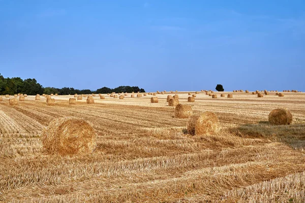 Paysage Rural Avec Grandes Balles Rondes Après Récolte Pologne — Photo
