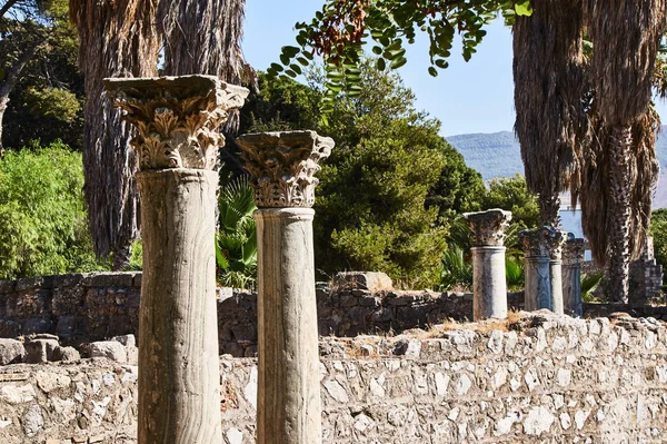 Yunanistan Kos Kentindeki Antik Harabelerin Sütunları — Stok fotoğraf