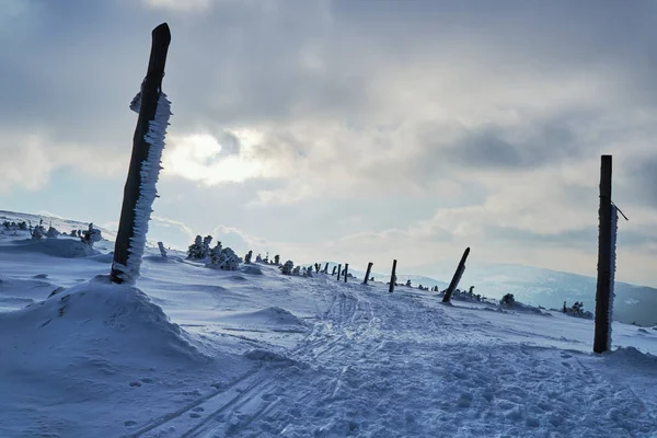 Trilha Turística Coberta Neve Nas Montanhas Gigantes Polônia — Fotografia de Stock