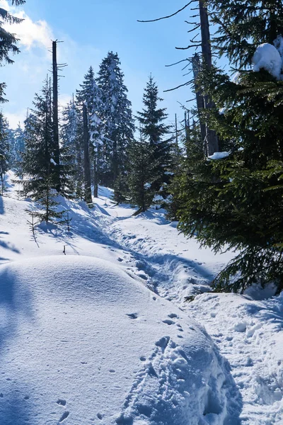 폴란드 자이언트 산맥에 눈덮인 — 스톡 사진