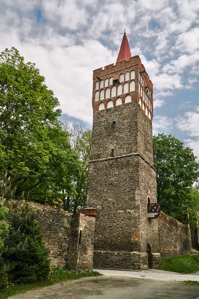 Средневековая Крепость Городскими Воротами Пачкове Польше — стоковое фото