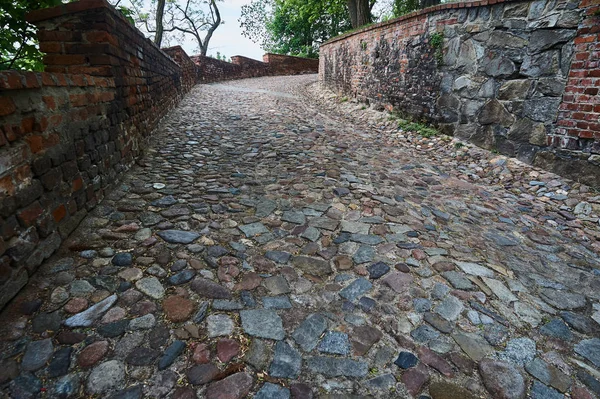 Cobbled Road Medieval Castle Otmochow Poland — Stock Photo, Image