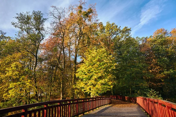 Drewniany Most Parku Miejskim Jesienią Poznaniu — Zdjęcie stockowe