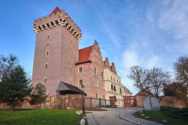 Ιστορικός Πύργος Ανακατασκευάστηκε Βασιλικό Κάστρο Στο Πόζναν — Φωτογραφία Αρχείου