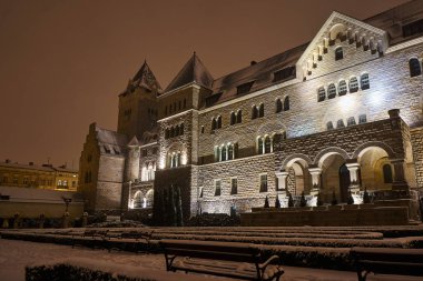 Gece Poznan imparatorluk kale önünde parkta kar